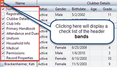 GridColumnHeaderBands